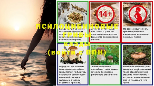 мяу мяу мука Медногорск