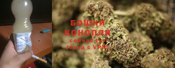 сатива Майский