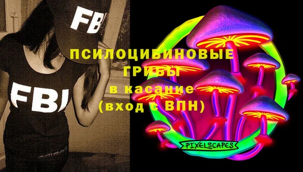 шишки Медвежьегорск