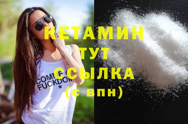 шишки Медвежьегорск