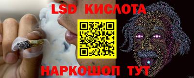 индика Берёзовский