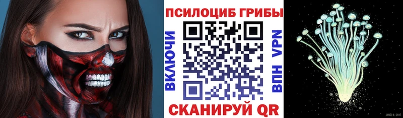 Галлюциногенные грибы ЛСД  hydra ссылки  Старый Оскол 